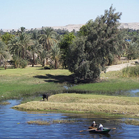 Photo de Egypte - Le Nil